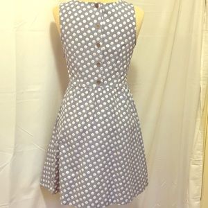 The Limited Polka Dot Fit & Flare Dress